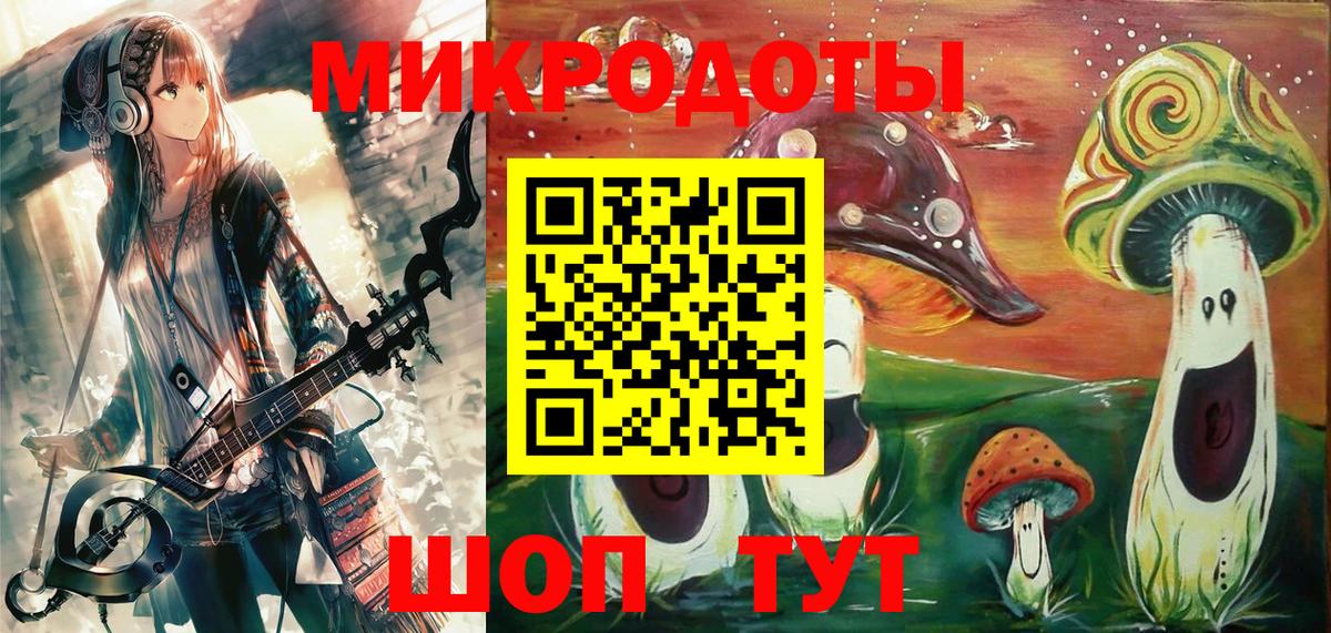 Псилоцибиновые грибы Psilocybine cubensis Горячий Ключ