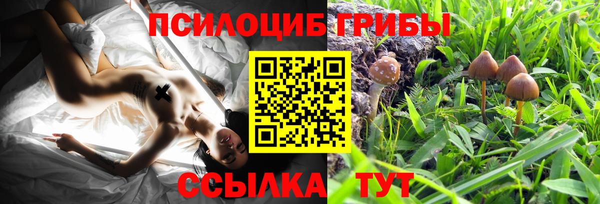 Горячий Ключ  Галлюциногенные грибы MAGIC MUSHROOMS  Псилоцибиновые грибы мухоморы  Вход с VPN 